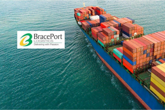 Brace Port Logistics IPO Allotment Finalized, Check on Linkintime