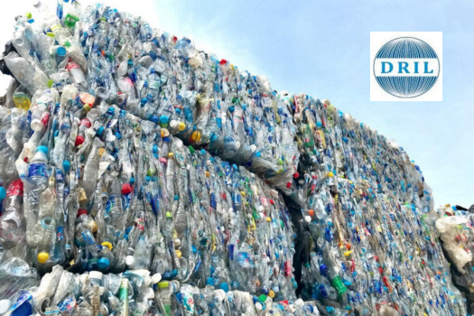 Divyadhan Recycling IPO Subscription Status 